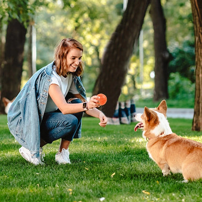 Durable Rubber Bouncy Dog Ball for Outdoor Fetch - view 20