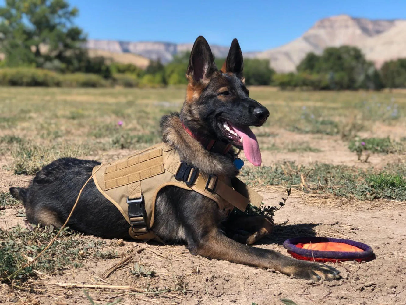 Tactical Military Dog Harness Set with Patches - view 22