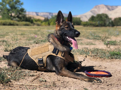 Tactical Military Dog Harness Set with Patches - view 22
