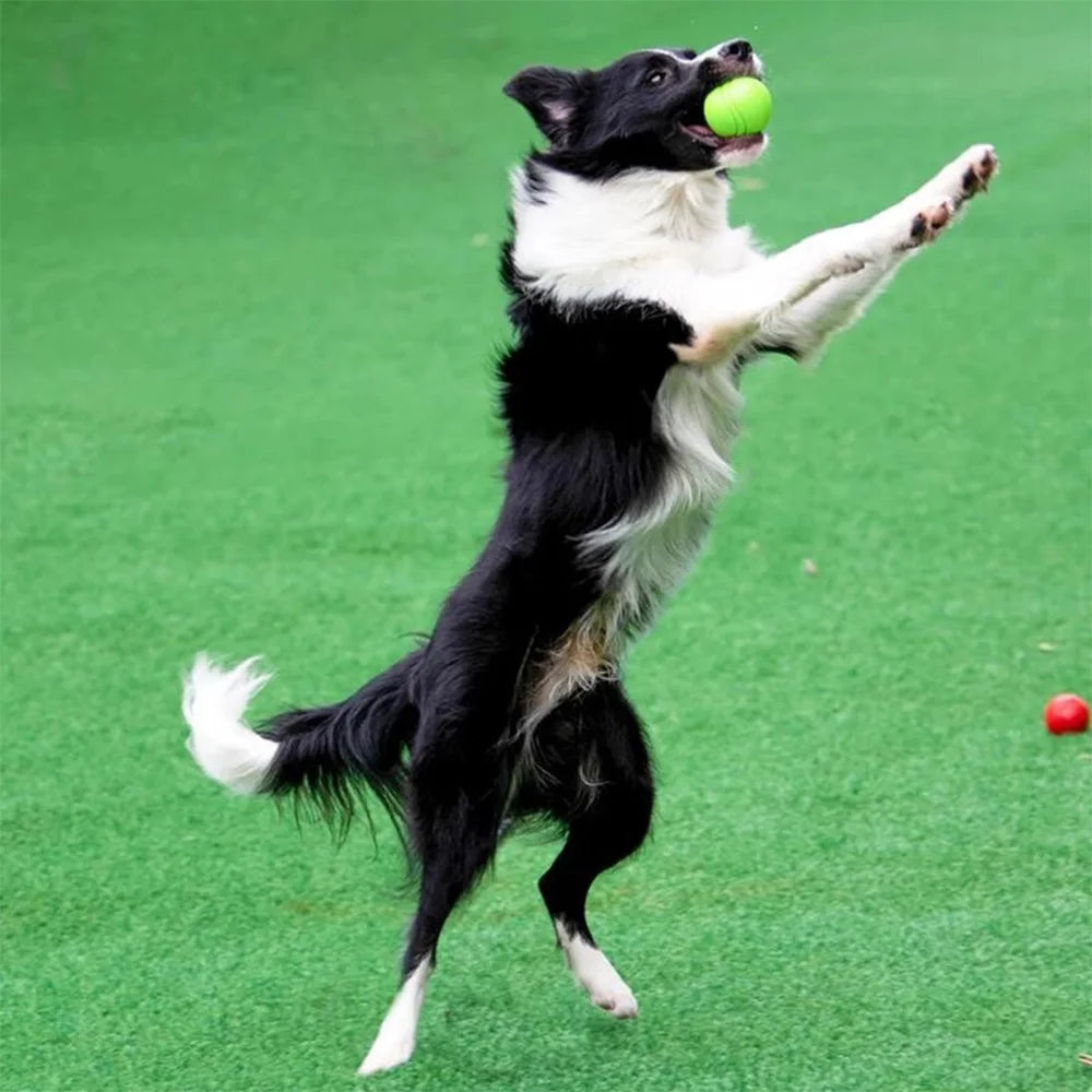 Durable Rubber Bouncy Dog Ball for Outdoor Fetch - view 13