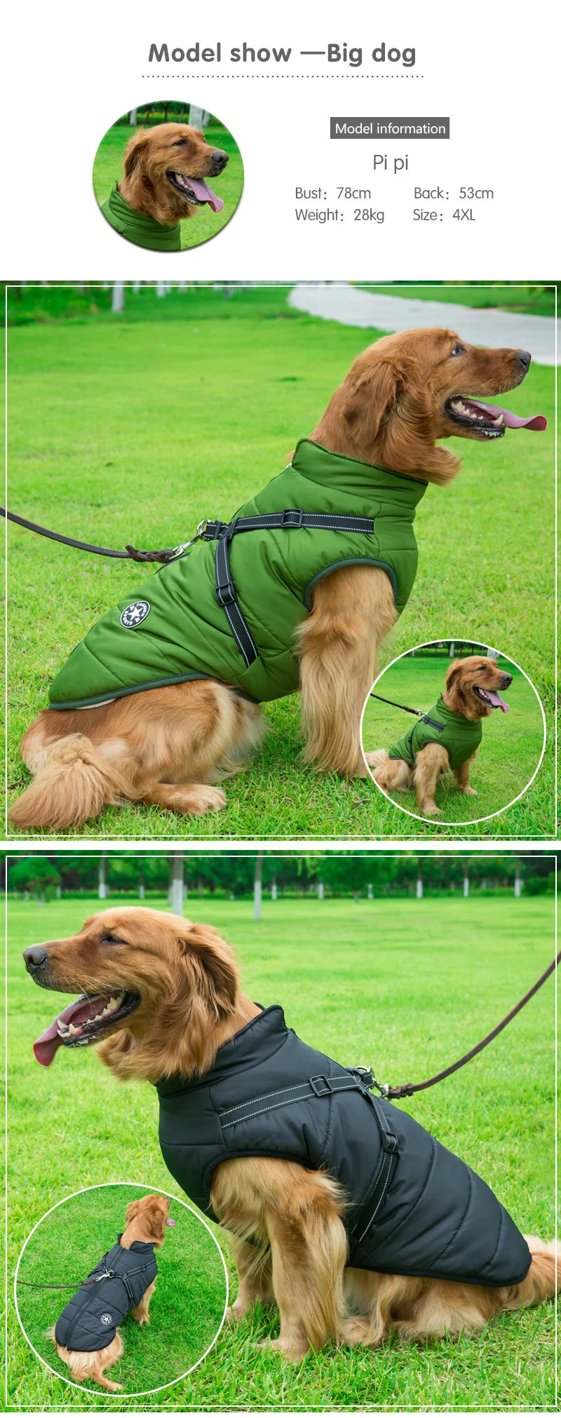 Waterproof Winter Dog Jacket with Built-in Harness - view 19