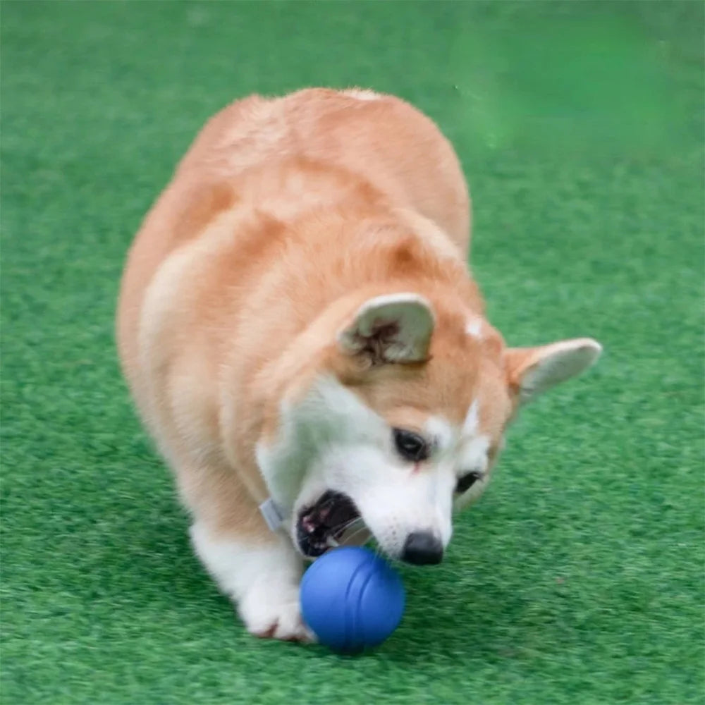 Durable Rubber Bouncy Dog Ball for Outdoor Fetch - view 12