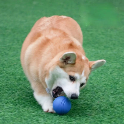 Durable Rubber Bouncy Dog Ball for Outdoor Fetch - view 12