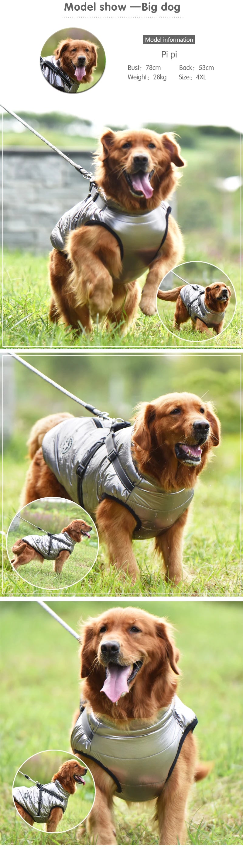 Waterproof Winter Dog Jacket with Built-in Harness - alternate angle