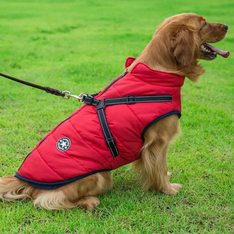 Waterproof Winter Dog Jacket with Built-in Harness - view 20