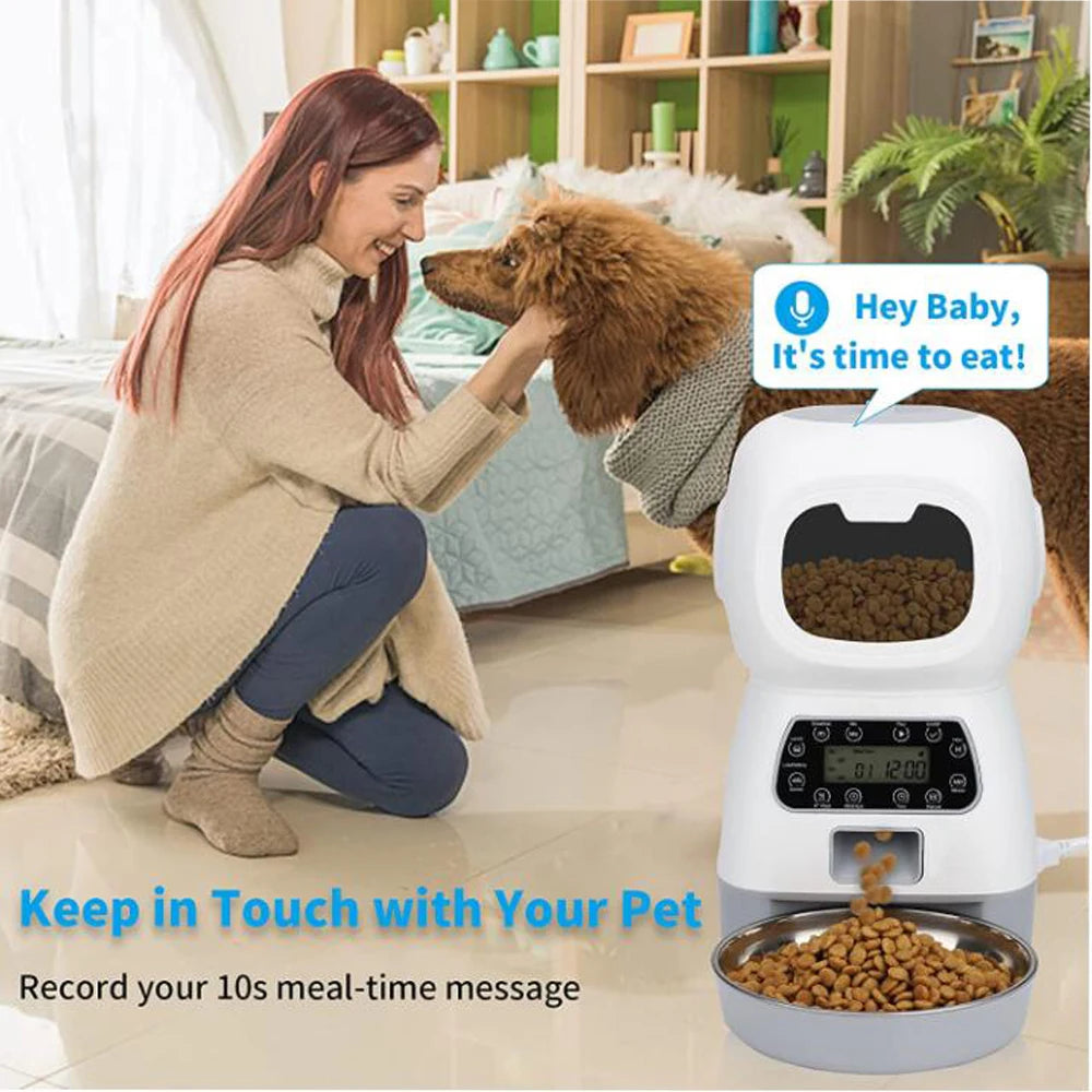 3.5L WiFi Smart Cat Feeder with Voice Recorder - lifestyle