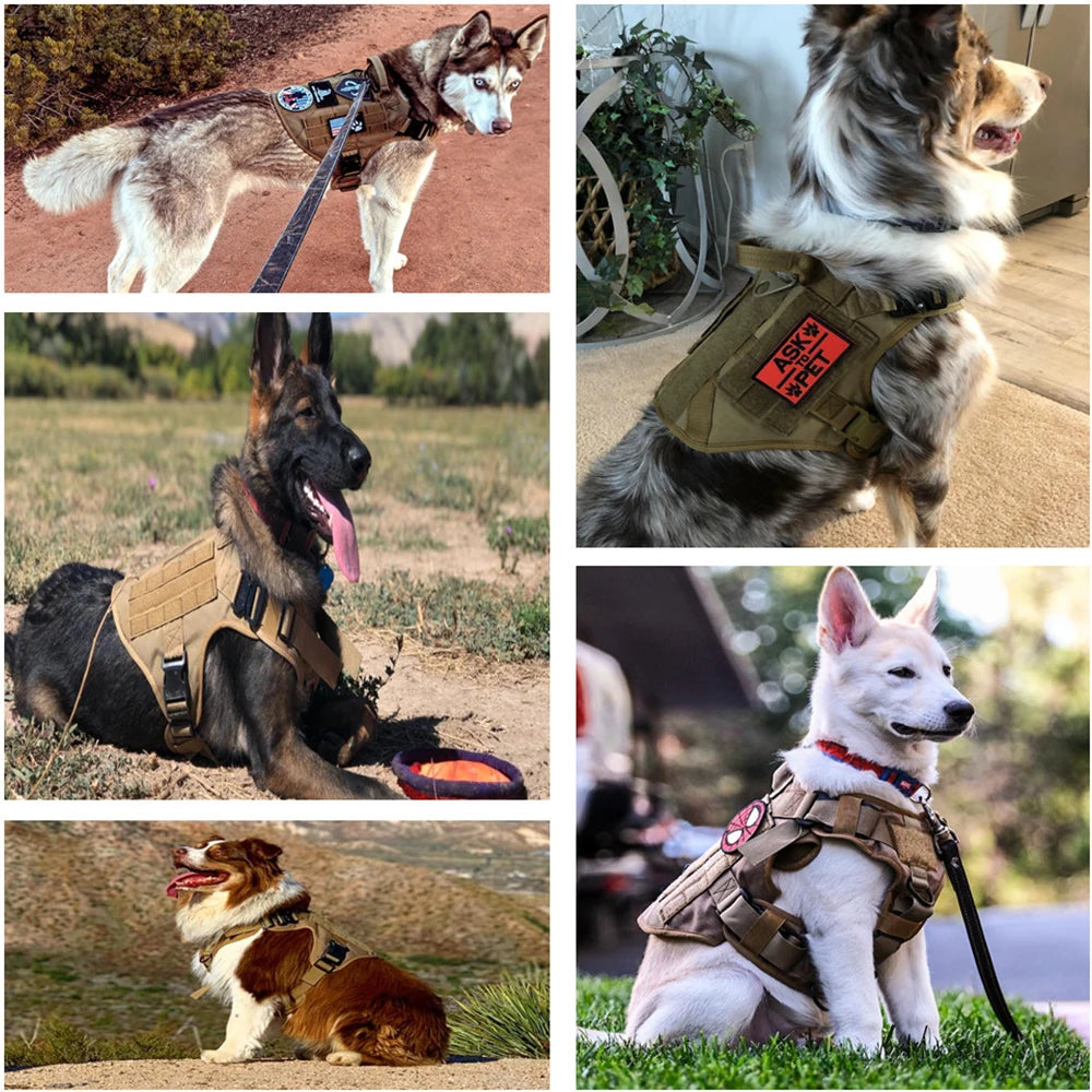 Tactical Military Dog Harness Set with Patches - view 23