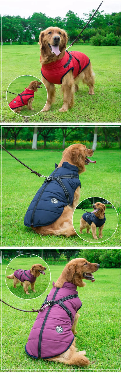 Waterproof Winter Dog Jacket with Built-in Harness - view 18