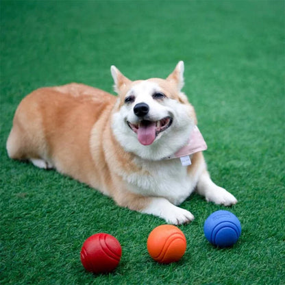 Durable Rubber Bouncy Dog Ball for Outdoor Fetch - view 18