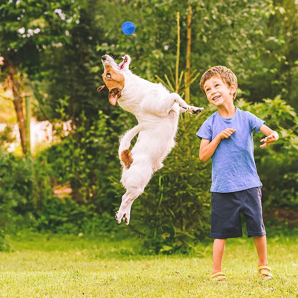 Durable Rubber Bouncy Dog Ball for Outdoor Fetch - close-up