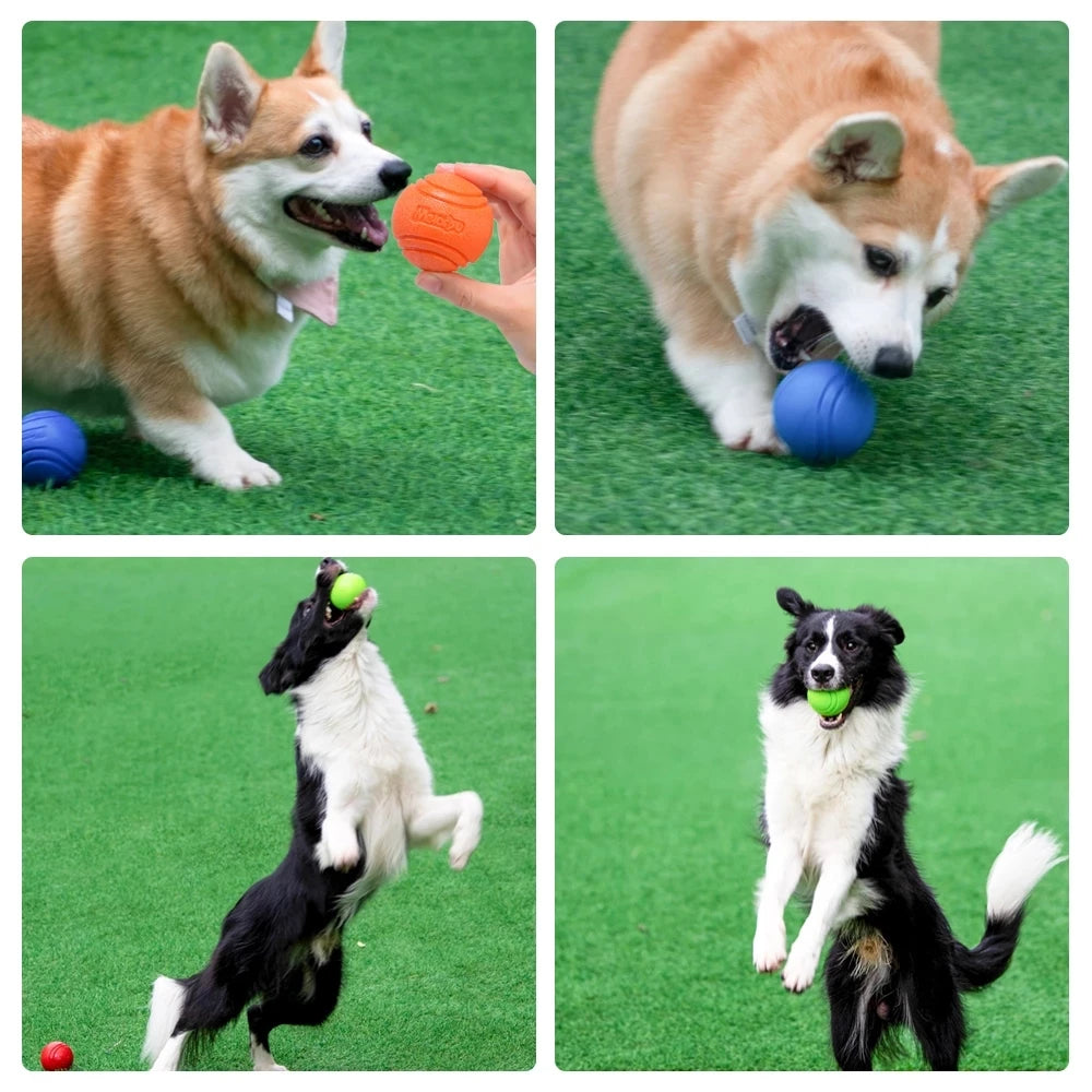 Durable Rubber Bouncy Dog Ball for Outdoor Fetch - in use