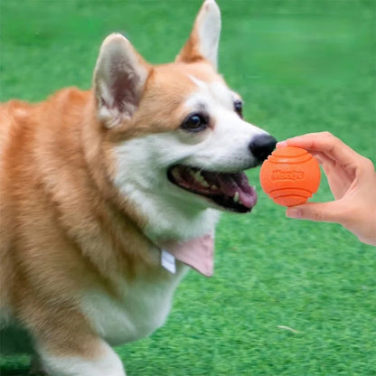 Durable Rubber Bouncy Dog Ball for Outdoor Fetch - view 11