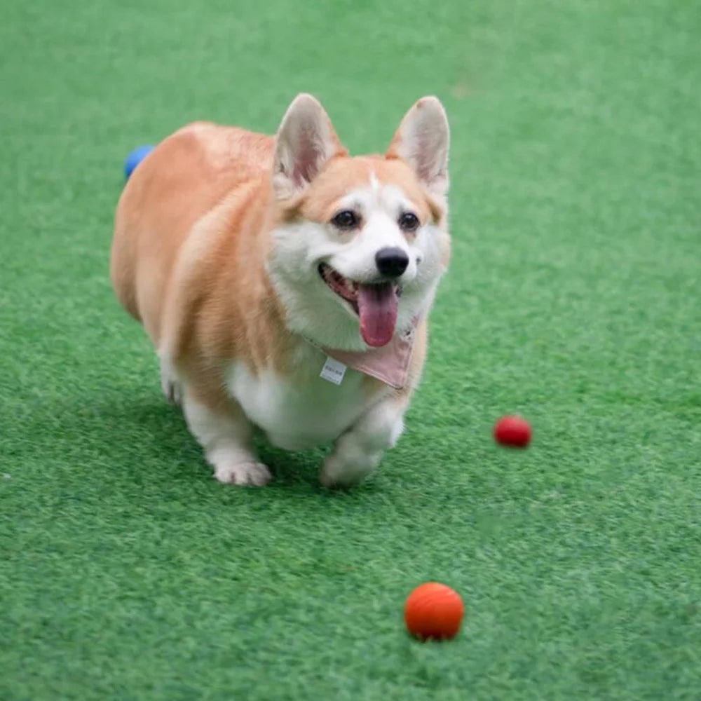 Durable Rubber Bouncy Dog Ball for Outdoor Fetch - view 19