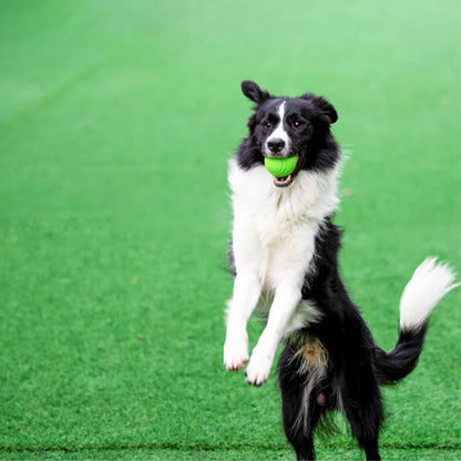 Durable Rubber Bouncy Dog Ball for Outdoor Fetch - view 14