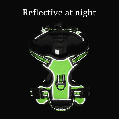 Adjustable No-Pull Reflective Dog Harness - in use