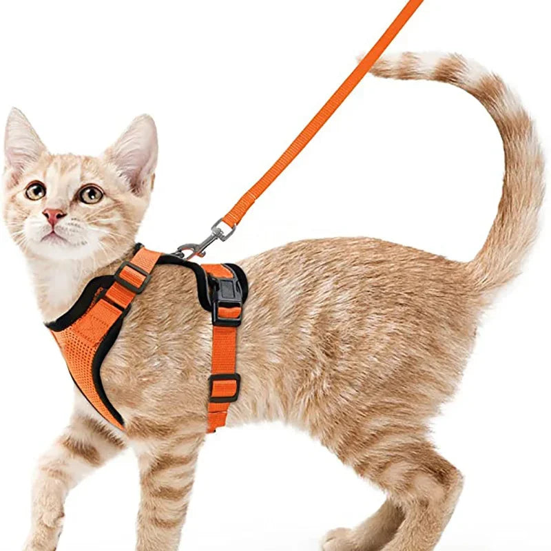 Escape Proof Cat Harness and Leash Set - orange / XS
