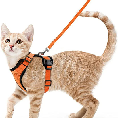Escape Proof Cat Harness and Leash Set - orange / XS