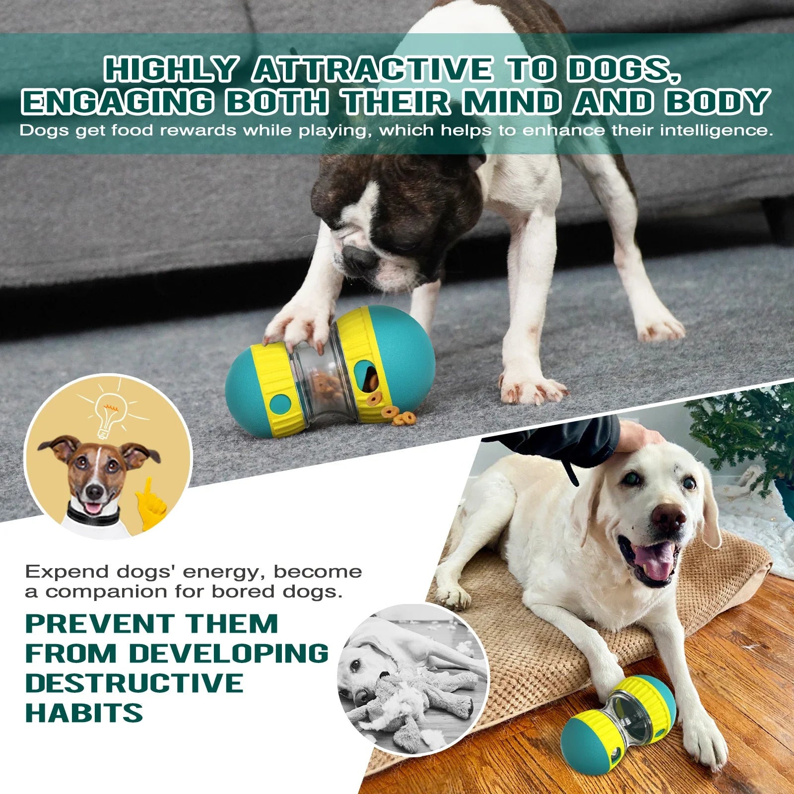 IQ Slow Feeder Ball for Dogs and Cats - view 15