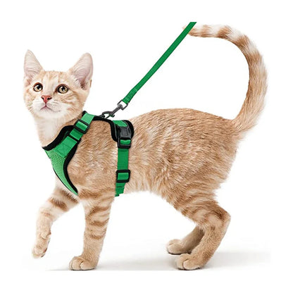 Escape Proof Cat Harness and Leash Set - green / XS
