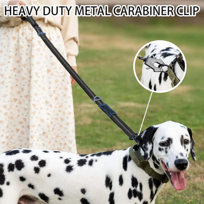 Shock-Absorbing Dog Leash with Car Seatbelt Attachment - detail