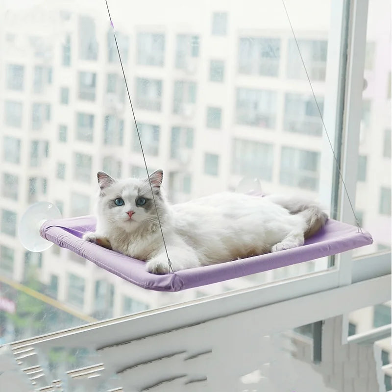 Cat Window Hammock with Suction Cups (Holds 20kg) - PURPLE