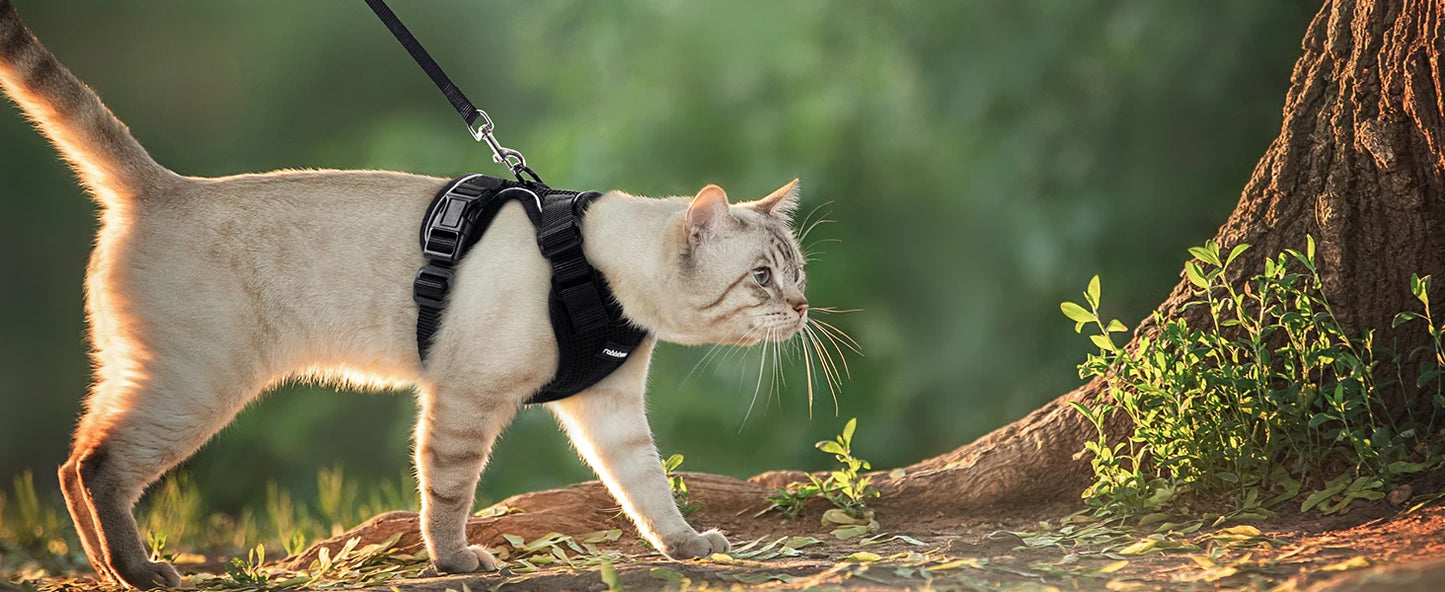 Escape Proof Cat Harness and Leash Set - feature view