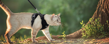 Escape Proof Cat Harness and Leash Set - feature view