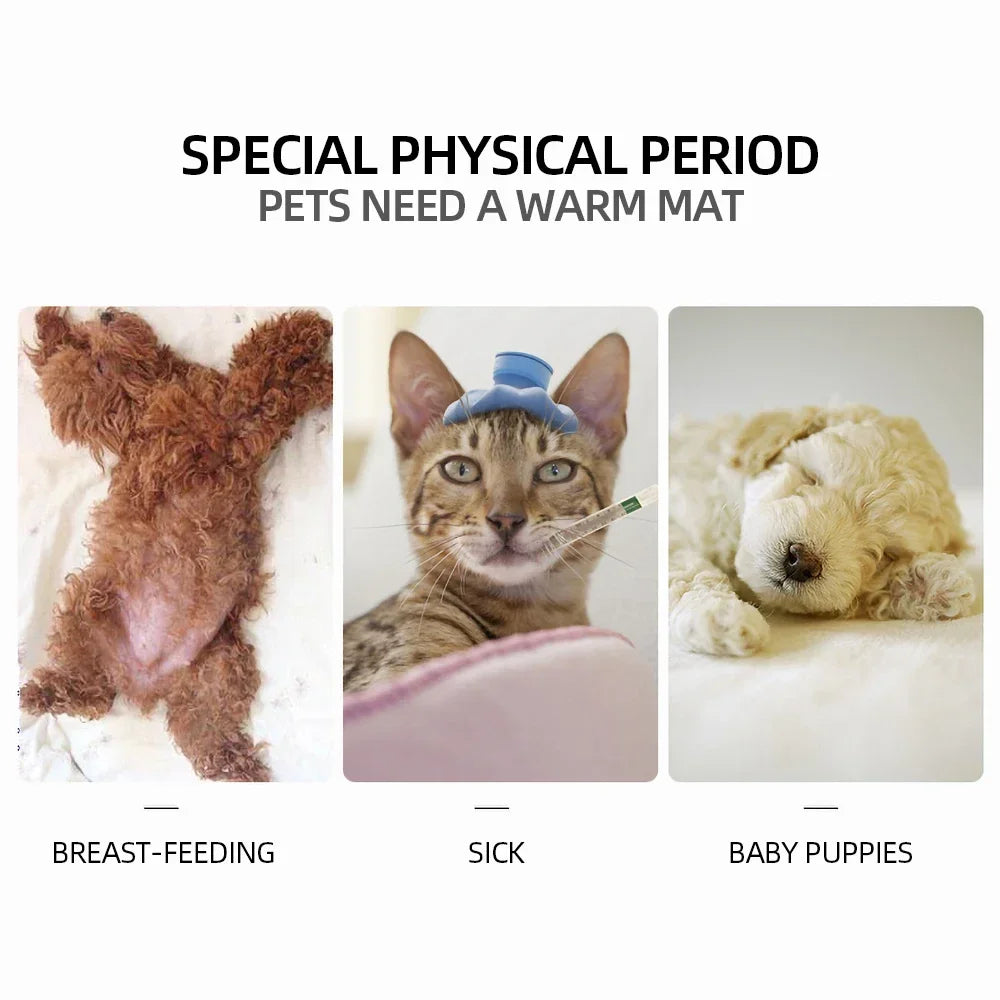 Waterproof Indoor Pet Heating Pad (45 x 45 cm) - alternate angle
