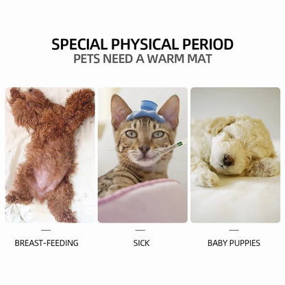 Waterproof Indoor Pet Heating Pad (45 x 45 cm) - alternate angle