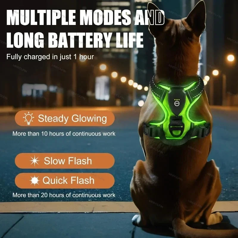 Rechargeable LED No-Pull Dog Harness - side view