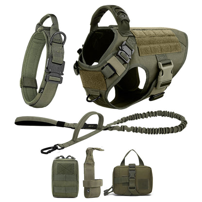 Large Dog Harness and Leash Set with Collar - M / Green 6 Pieces