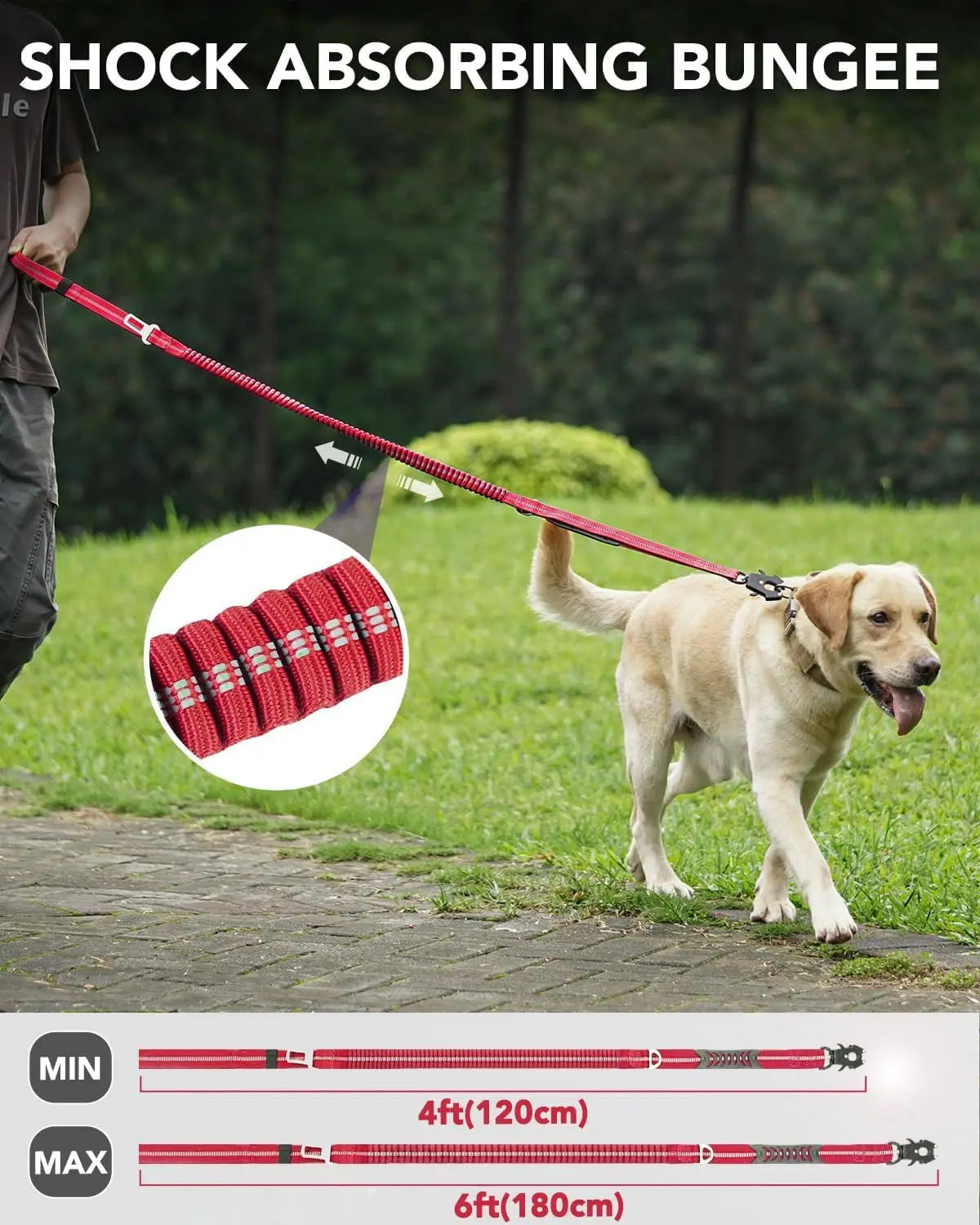 Shock-Absorbing Dog Leash with Car Seatbelt Attachment - from above