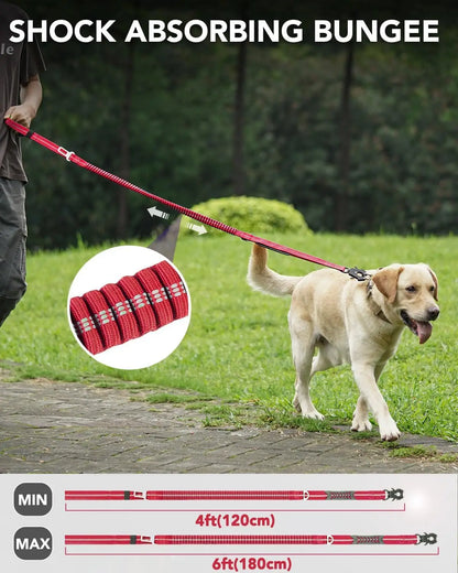 Shock-Absorbing Dog Leash with Car Seatbelt Attachment - from above