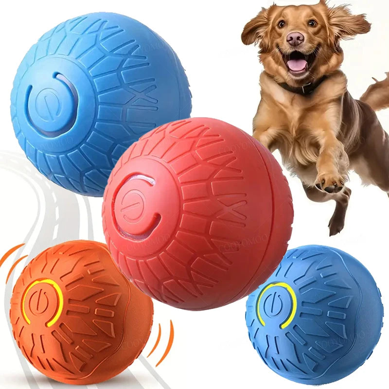 USB Rechargeable Smart Rolling Dog Ball - from above