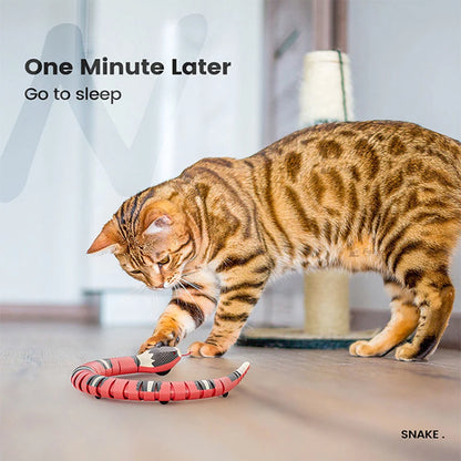 Automatic Smart Sensing Snake Cat Toy - view 12