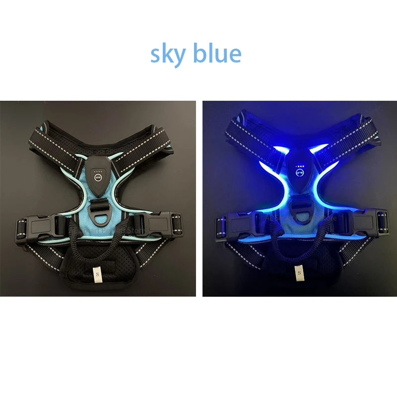 Rechargeable LED No-Pull Dog Harness - L / SKY BLUE