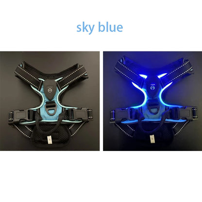 Rechargeable LED No-Pull Dog Harness - L / SKY BLUE