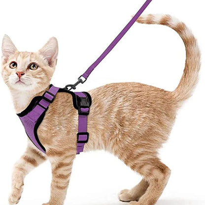 Escape Proof Cat Harness and Leash Set - PURPLE / XS