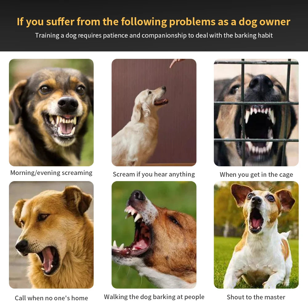 Rechargeable Anti-Bark Dog Training Collar - in use