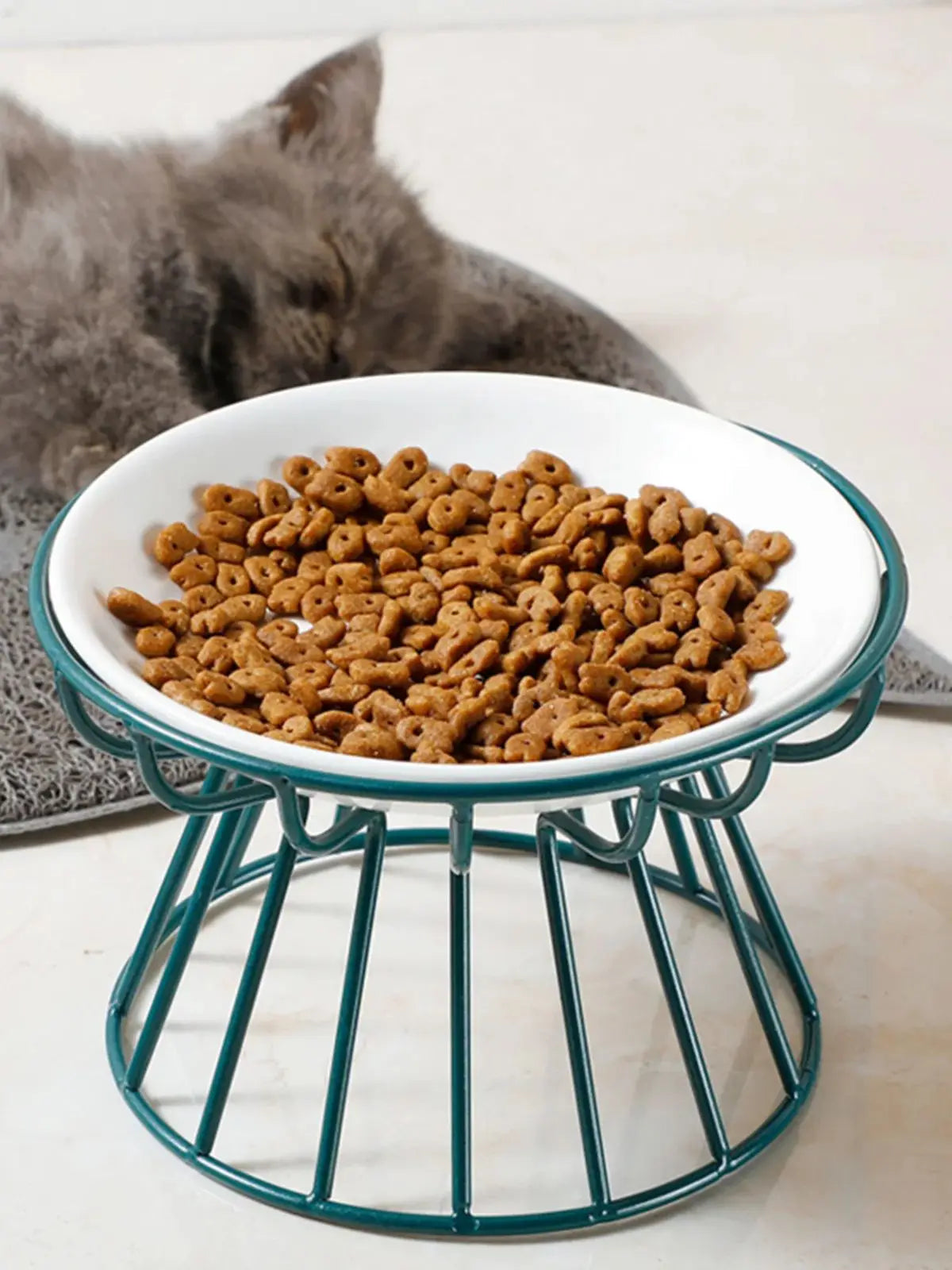 Ceramic Raised Pet Bowl with Stand - from above