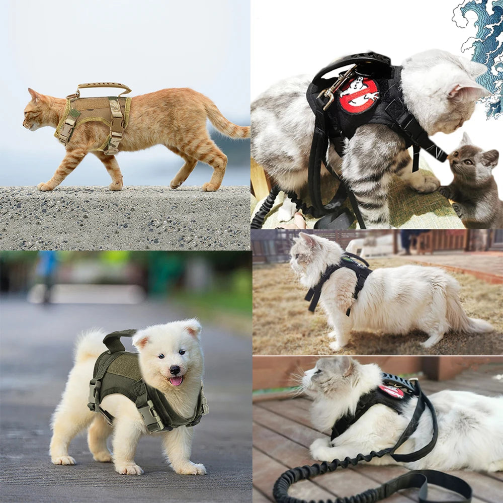 Tactical Escape-Proof Cat Harness with Control Handle - lifestyle
