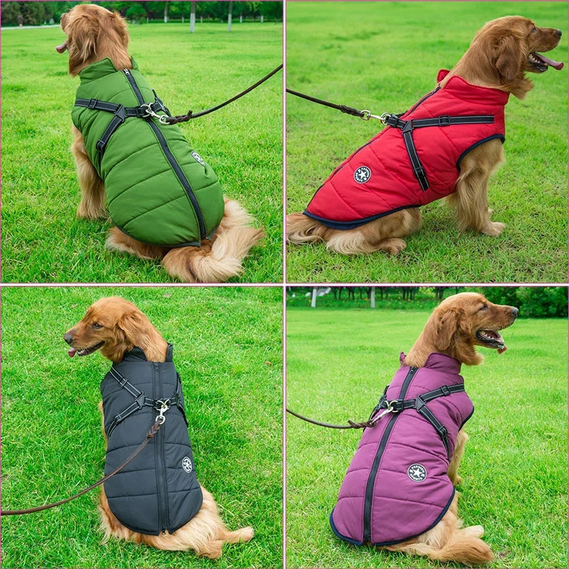 Waterproof Winter Dog Jacket with Built-in Harness - close-up