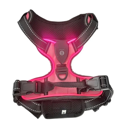 Rechargeable LED No-Pull Dog Harness - M / Pink