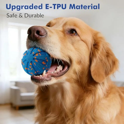 Automatic Moving Smart Dog Ball for All Sizes - in use