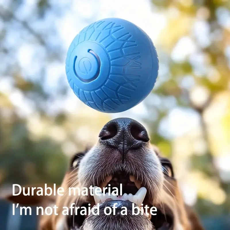 USB Rechargeable Smart Rolling Dog Ball - feature view