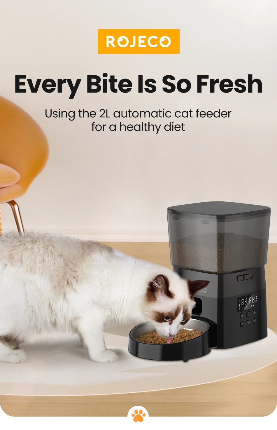 Automatic Pet Food Dispenser for Cats and Dogs - from above