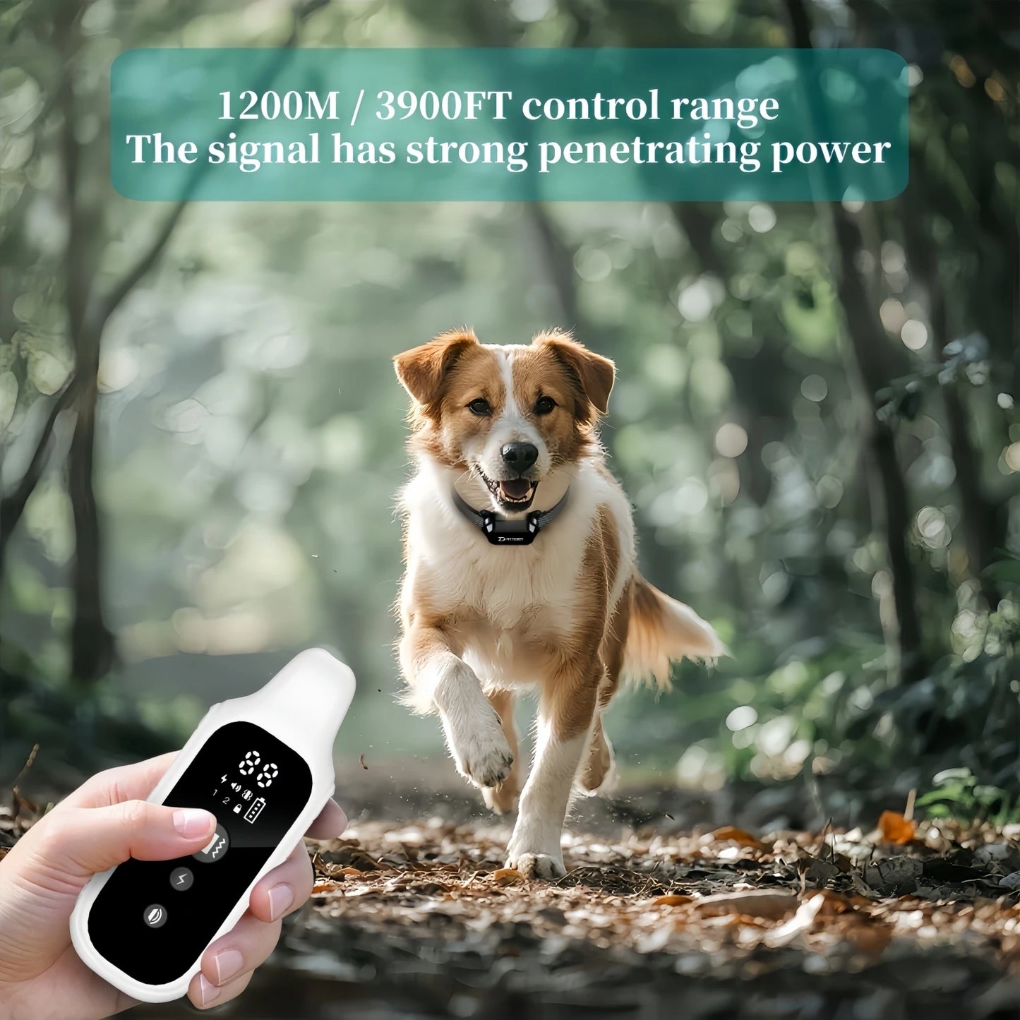Digital Dog Training Collar with LCD Display (800m Range) - close-up