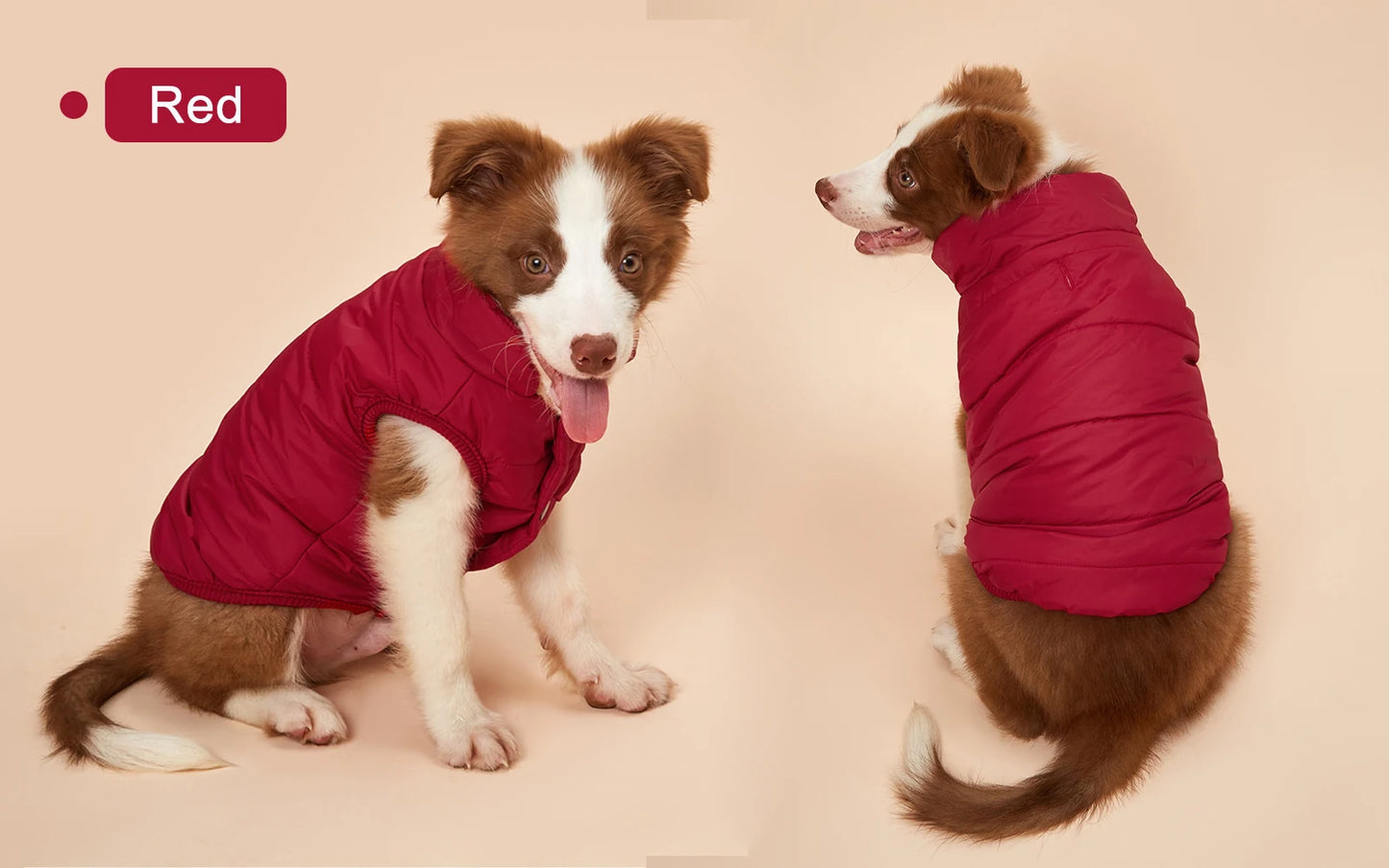Cold-Proof Winter Dog Jacket with Fleece Lining - view 11