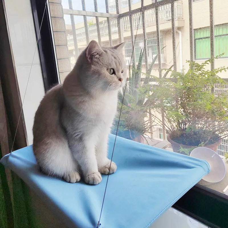 Cat Window Hammock with Suction Cups (Holds 20kg) - close-up