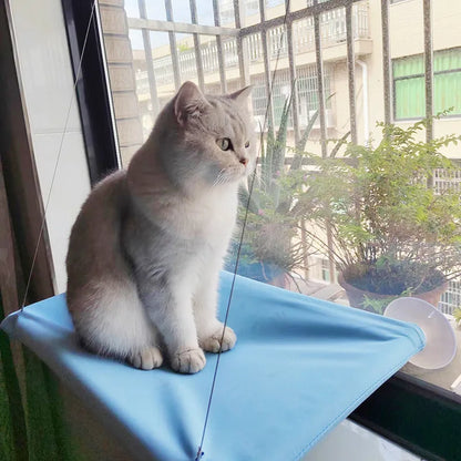 Cat Window Hammock with Suction Cups (Holds 20kg) - close-up